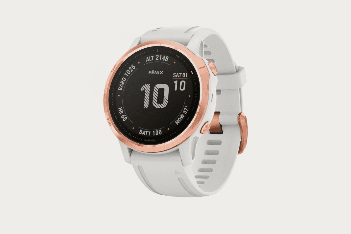 7.Garmin Fenix 6S Pro
