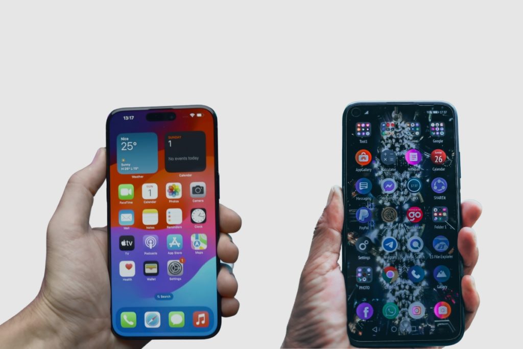 Flexibility and Options
